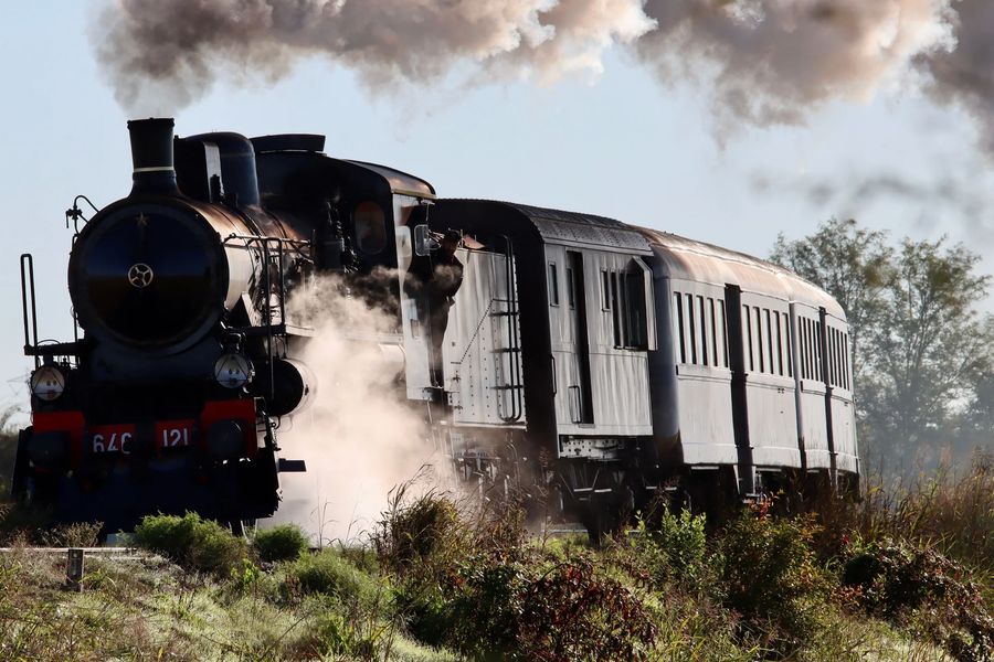 Vintage steam train in Hill Country grass, like the Hill Country Flyer to Bertram