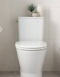 cedar park toilet replacement and repair