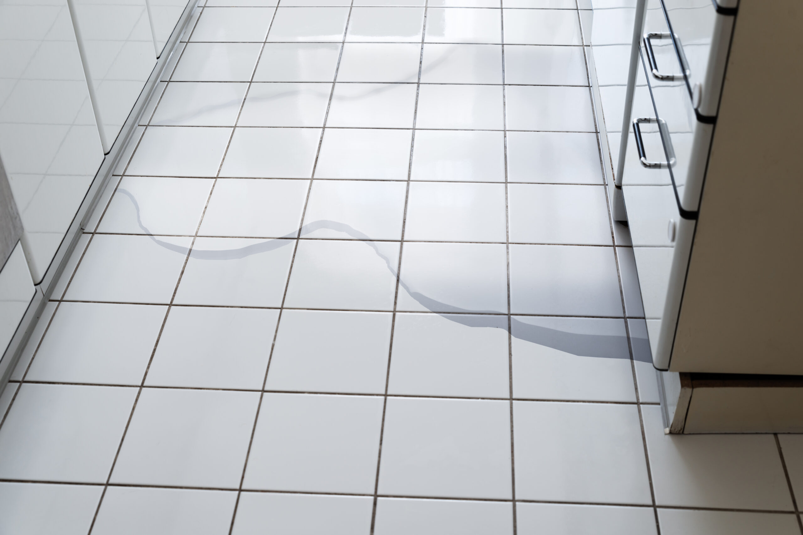 How to Tell if Your Water is Leaking Slowly - Vaquero Plumbing