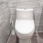 toilet repair toilet repair
