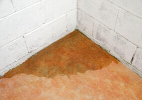 slab-leak-in-a-basement